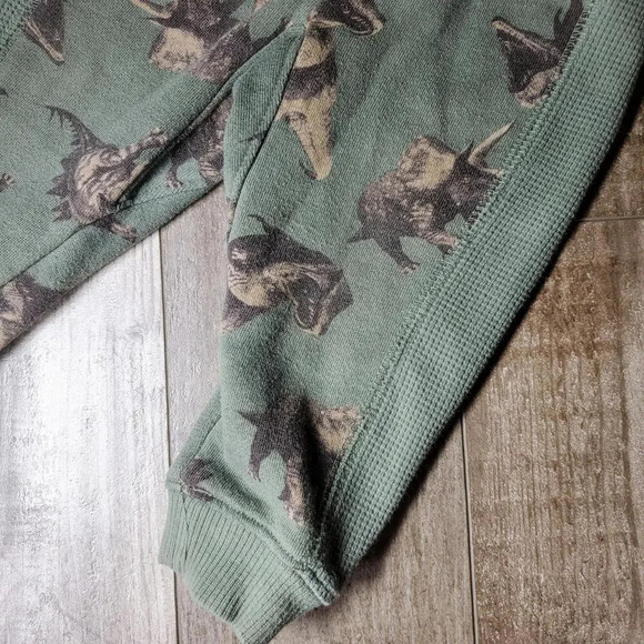 Wonder Nation Toddler Boy Hoodie and Joggers Set 2-Piece Size 12m Green Dino - Picture 13 of 14